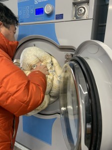 羽毛布団ペット尿汚れつけ洗い機械洗い