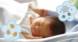 赤ちゃん眠りダニカビのイメージ